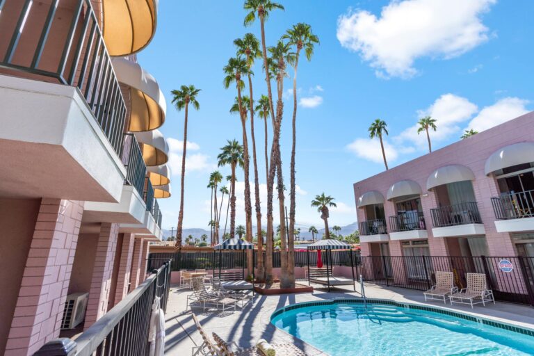View of the palms, pool and hot tub